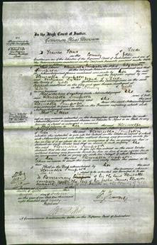 Court of Common Pleas - Henrietta Simpson-Original Ancestry