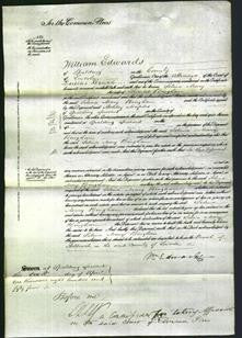 Court of Common Pleas - Selina Mary Bingham-Original Ancestry