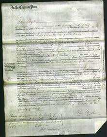 Court of Common Pleas - Mary Eliza Penny-Original Ancestry