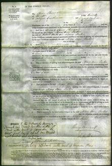 Court of Common Pleas - Mary Ann Parkes-Original Ancestry