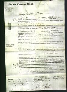 Court of Common Pleas - Maria Ann Naylor-Original Ancestry