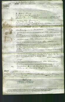 Court of Common Pleas - Ellen Christiana Turner-Original Ancestry