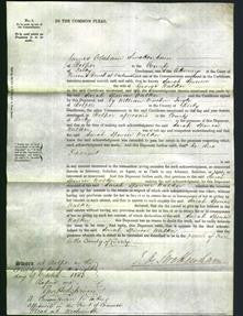 Court of Common Pleas - Sarah Spencer Walker-Original Ancestry