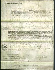 Court of Common Pleas - Elizabeth Bailey-Original Ancestry