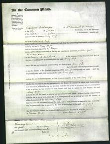 Court of Common Pleas - Mary Bass-Original Ancestry