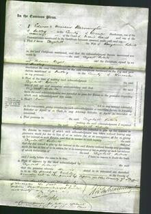 Court of Common Pleas - Elizabeth Roberts-Original Ancestry