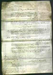 Court of Common Pleas - Mary White-Original Ancestry