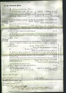 Court of Common Pleas - Elizabeth Cracknell-Original Ancestry