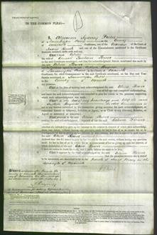 Court of Common Pleas - Celina Flower-Original Ancestry