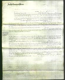 Court of Common Pleas - Sarah Prestridge and Mary Devenport-Original Ancestry