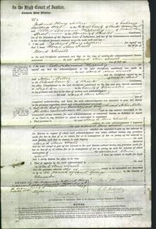 Court of Common Pleas - Saran Ann Smele-Original Ancestry