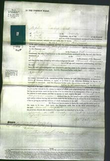 Court of Common Pleas - Hannah Hargreaves-Original Ancestry