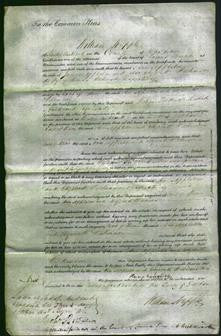 Court of Common Pleas - Ann Appleton and Elizabeth Wilkinson-Original Ancestry