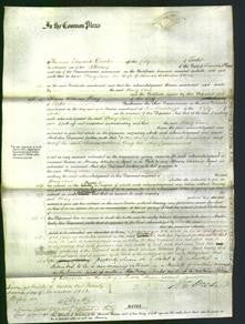 Court of Common Pleas - Mary Jane Owen-Original Ancestry