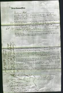 Court of Common Pleas - Emma Lamb-Original Ancestry