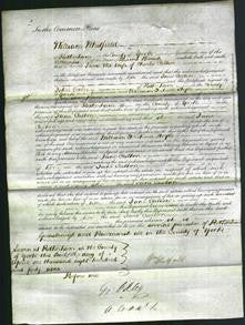 Court of Common Pleas - Jane Calton-Original Ancestry