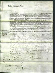 Court of Common Pleas - Eliza Indiana Lonsdale-Original Ancestry