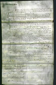 Court of Common Pleas - Elizabeth Arnall-Original Ancestry