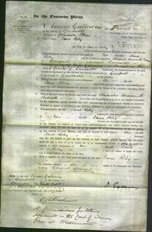 Court of Common Pleas - Jane Roby-Original Ancestry