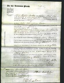 Court of Common Pleas - Mary Waller-Original Ancestry