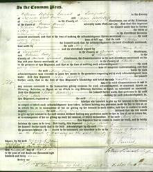 Court of Common Pleas - Mary Ann Beale-Original Ancestry