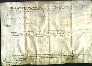 Deed by Married Women - Mary Shands-Original Ancestry