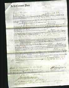 Court of Common Pleas - Deborah Porter-Original Ancestry