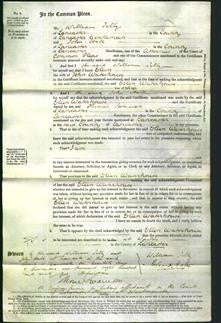 Court of Common Pleas - Ellen Waterhouse-Original Ancestry