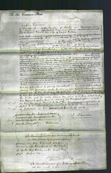 Court of Common Pleas - Harriet Hutton-Original Ancestry