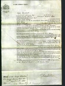 Court of Common Pleas - Sarah Billing-Original Ancestry