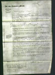 Court of Common Pleas - Mary Benson-Original Ancestry