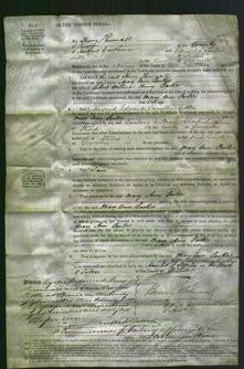 Court of Common Pleas - Mary Ann Parkes-Original Ancestry