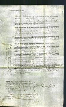 Court of Common Pleas - Eliza Scott-Original Ancestry