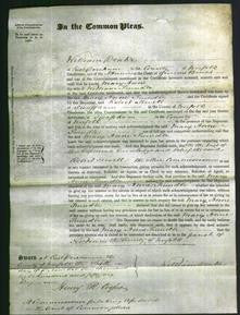 Court of Common Pleas - Mary Anne Trundle-Original Ancestry
