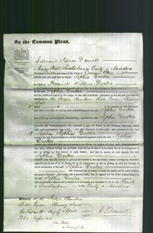 Court of Common Pleas - Sophia Docker-Original Ancestry