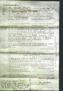 Court of Common Pleas - Amelia Bennett