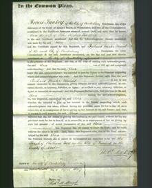 Court of Common Pleas - Ann Fox-Beer-Original Ancestry