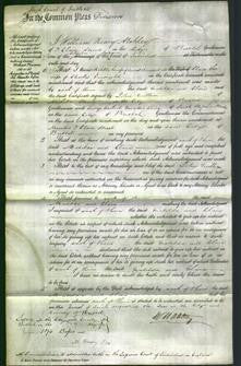 Court of Common Pleas - Matilda Dimond, Clara Enwright-Original Ancestry