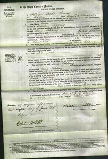 Court of Common Pleas - Anne Topping-Original Ancestry