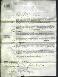 Court of Common Pleas - Susanna Lumb and Nancy Wilson-Original Ancestry