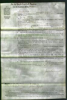 Court of Common Pleas - Adelaide Locke-Original Ancestry