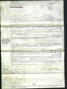 Court of Common Pleas - Elizabeth Turner-Original Ancestry