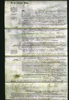 Court of Common Pleas - Elizabeth Andrews, Fanny Plummer and Harriet Alyhill-Original Ancestry