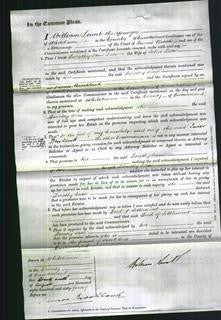 Court of Common Pleas - Dorothy Jane Lace-Original Ancestry