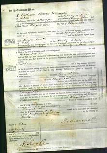 Court of Common Pleas - Margaret Allen-Original Ancestry