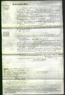 Court of Common Pleas - Martha Bennett-Original Ancestry