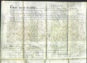 Deed by Married Women - Ellen Thorp, Harriet Drew, Francis Atcheson, Sarah Walker, Frances Grant and Sarah Reed Cousins-Original Ancestry