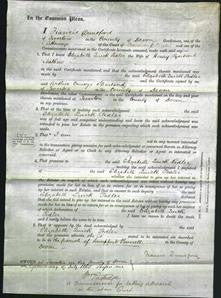 Court of Common Pleas - Elizabeth Luick Pedler Mathew-Original Ancestry