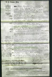 Court of Common Pleas - Susan Anne Lane-Original Ancestry