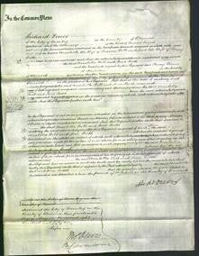 Court of Common Pleas - Arrabella Ball, Jane Booth-Original Ancestry